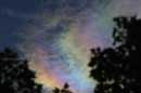 Iridescent Clouds, August 7, 2004 -  2004 Lauri Kangas