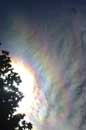 Iridescent Clouds, August 7, 2004 -  2004 Lauri Kangas