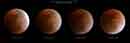 Total Lunar Eclipse, Feb 20, 2008 - 2008 Lauri A. Kangas
