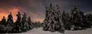 Moonlight Magic - �2006 Lauri A. Kangas