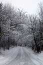 February Morning - � 2005 Lauri Kangas
