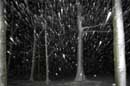 Wind Driven Snow -  2005 Lauri Kangas
